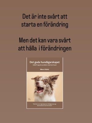 Image post by @det_goda_hundagarskapet on Instagram