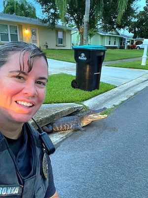 Image post by @PalmBayPD on Twitter