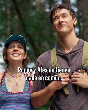 Image post by @chenetflix on TikTok