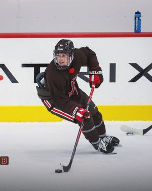 Image post by @brownu_mhockey on Instagram