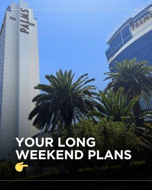 Image post by @palms on Instagram