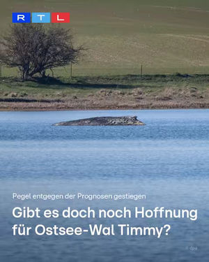 Image post by @rtlaktuell on TikTok