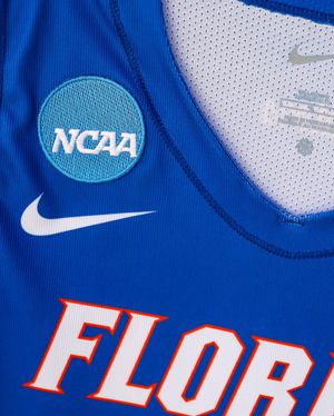 Image post by @gatorsvb on Instagram