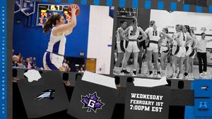 Image post by @ladycougbball on Instagram