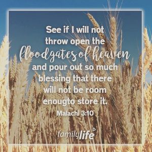 Image post by @familylifenypa on Instagram
