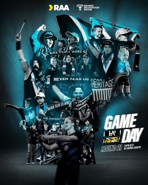 Image post by @pafc on Instagram