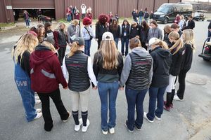 Image post by @aggieequestrian on Instagram