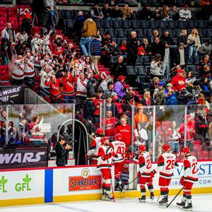 Image post by @Canes on Twitter