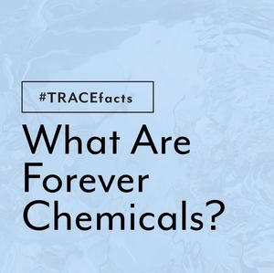 Image post by @mytracewellness on Instagram