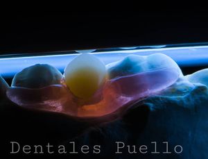 Image post by @josegabrielpuello on Instagram
