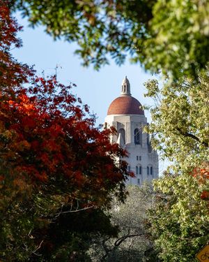 Image post by @gostanford on Instagram