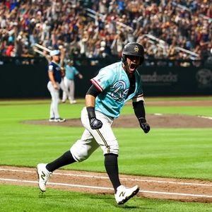 Image post by @saltlakebees on Instagram