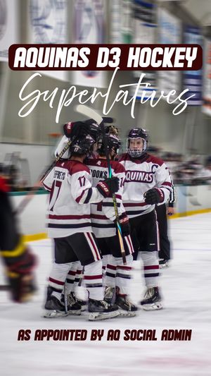 Video post by @aquinasd3hockey on TikTok