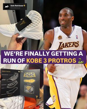Image post by @soleretriever on Instagram