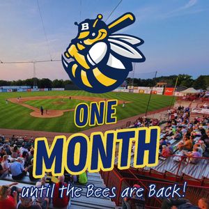 Image post by @burlington_bees on Instagram