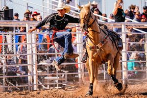 Image post by @ariannagrainey on Instagram