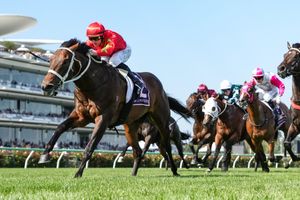 Image post by @flemingtonvrc on Instagram