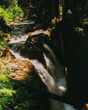 Image post by @eecreative7 on Instagram
