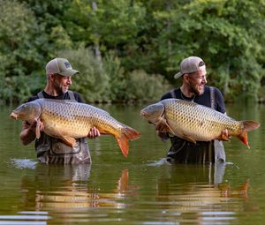 Image post by @brothercarp on Instagram