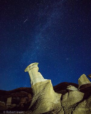 Image post by @robertirwinphotography on Instagram