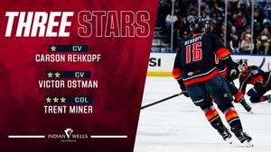 Image post by @Firebirds on Twitter