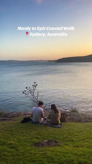 Video post by @byhaleyjo on TikTok