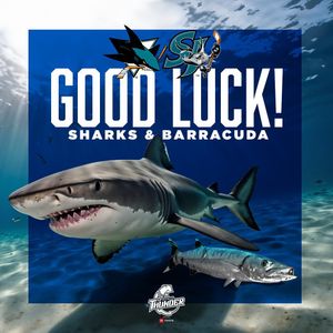 Image post by @Wichita_Thunder on Twitter
