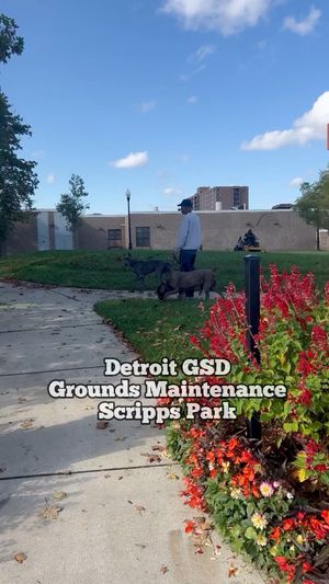 Video post by @DetroitGSD on Facebook