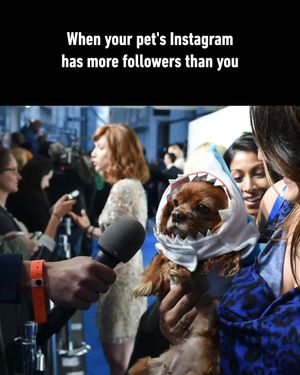 Image post by @9gag on Instagram