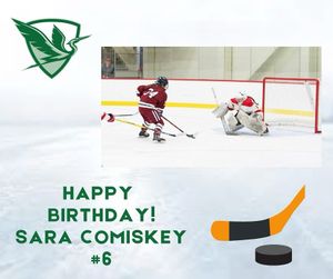 Image post by @heronhockey on Instagram