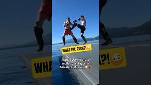 Video post by @House of Highlights on YouTube