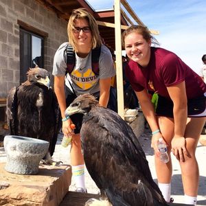 Image post by @arizonastateuniversity on Instagram
