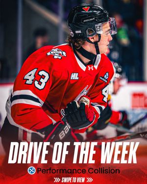 Image post by @ohlicedogs on Instagram