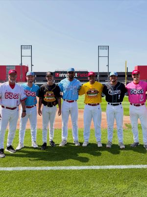 Image post by @thechicagodogs on Instagram