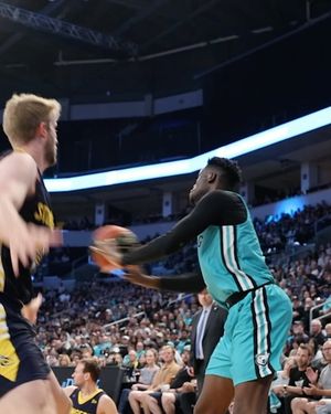 Image post by @wpgseabears on Instagram