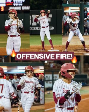 Image post by @fsusoftball on Instagram