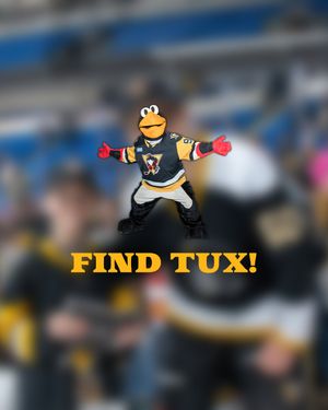 Image post by @wbspenguins on Instagram