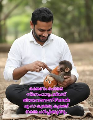 Image post by @yousufvalakkulam on Instagram