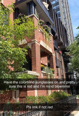 Image post by @BoyYeetsWorld on Twitter