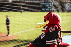 Image post by @GamecockSoftbll on Twitter