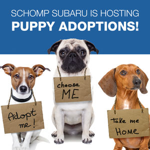 Image post by @schompsubaru on Instagram