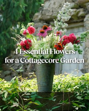 Image post by @burpeegardening on Instagram