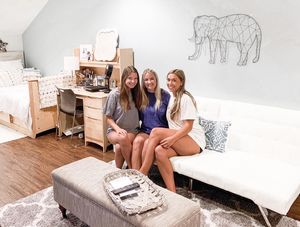 Image post by @alabamaadpi on Instagram