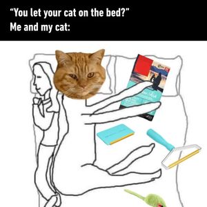 Image post by @9gag on Instagram