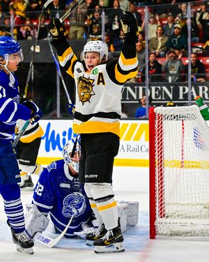 Image post by @bulldogsohl on Instagram