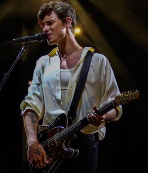 Image post by @shawnupdatesmendes on Instagram