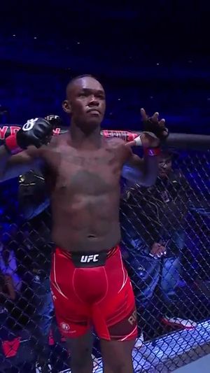 Video post by @ufc on TikTok