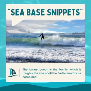 Image post by @longbeachseabase on Instagram