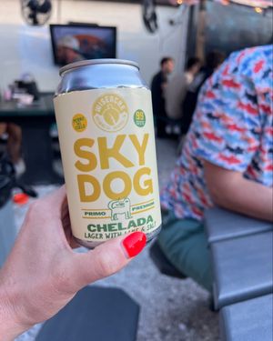 Image post by @wiseacrebrewingcompany on Instagram