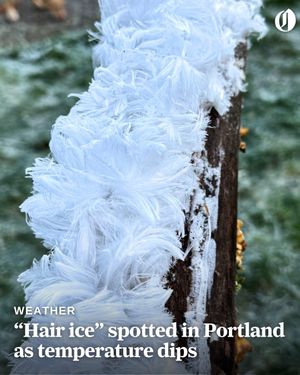Image post by @theoregonian on Instagram